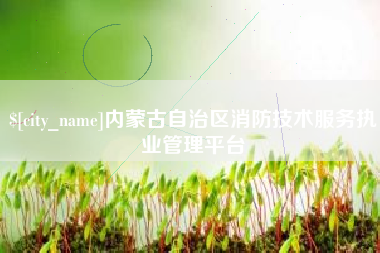 南安内蒙古自治区消防技术服务执业管理平台