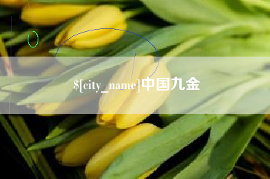南安中国九金