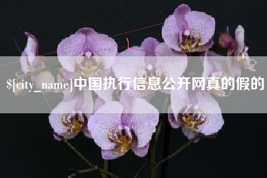 南安中国执行信息公开网真的假的