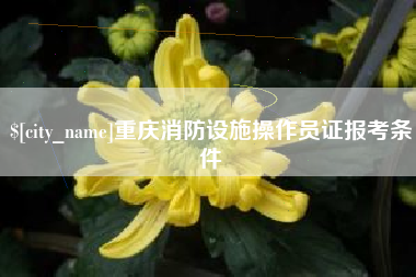 南安重庆消防设施操作员证报考条件
