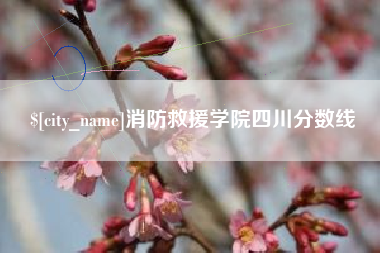 南安消防救援学院四川分数线
