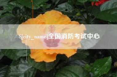 南安全国消防考试中心