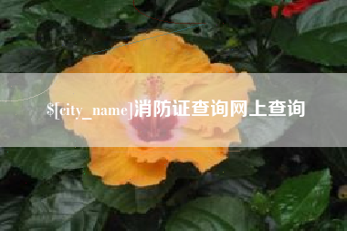 南安消防证查询网上查询