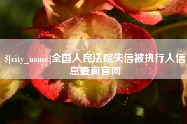 南安全国人民法院失信被执行人信息查询官网