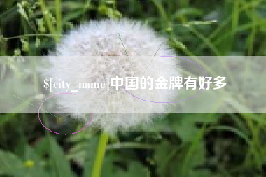 南安中国的金牌有好多