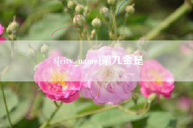 南安第九金是