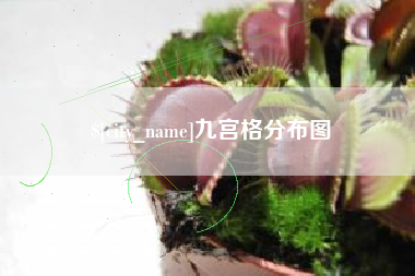南安九宫格分布图