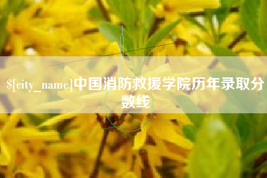 南安中国消防救援学院历年录取分数线