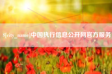 南安中国执行信息公开网官方服务