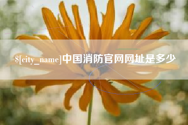 南安中国消防官网网址是多少