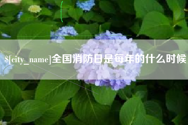 南安全国消防日是每年的什么时候
