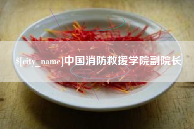 南安中国消防救援学院副院长