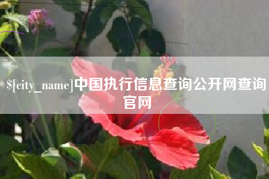南安中国执行信息查询公开网查询官网