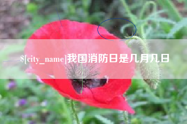 南安我国消防日是几月几日