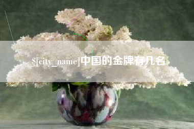 南安中国的金牌有几名