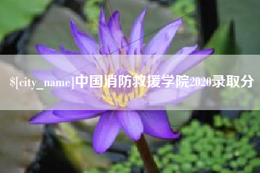 南安中国消防救援学院2020录取分