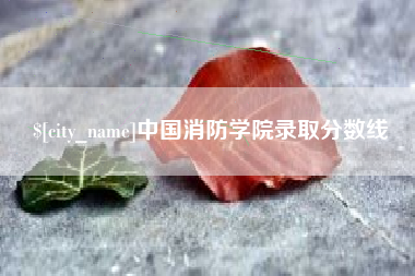 南安中国消防学院录取分数线