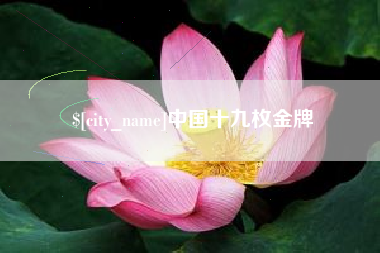 南安中国十九枚金牌