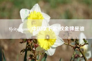 南安中国拿下第9枚金牌是谁