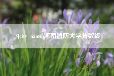 南安河南消防大学分数线
