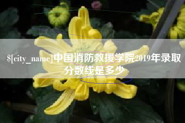 南安中国消防救援学院2019年录取分数线是多少