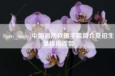 南安中国消防救援学院简介及招生章程指挥部
