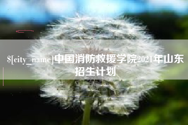 南安中国消防救援学院2021年山东招生计划