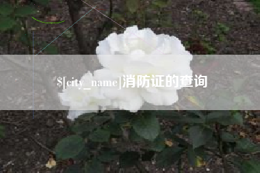 南安消防证的查询