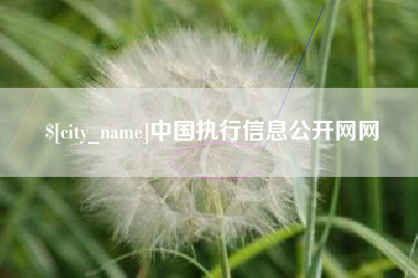 南安中国执行信息公开网网