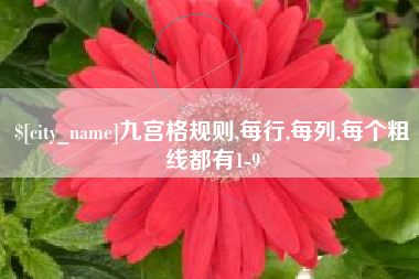 南安九宫格规则,每行,每列,每个粗线都有1-9
