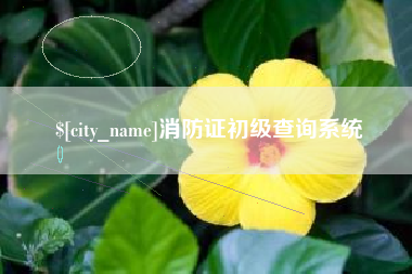南安消防证初级查询系统