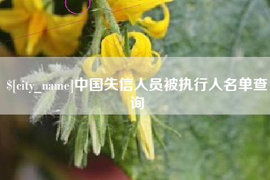 南安中国失信人员被执行人名单查询