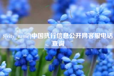 南安中国执行信息公开网客服电话查询
