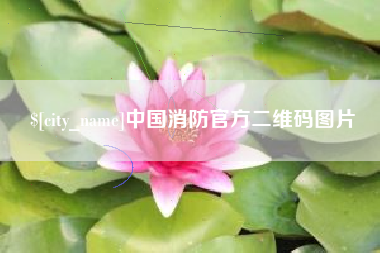 南安中国消防官方二维码图片