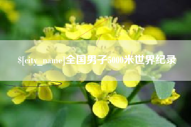 南安全国男子5000米世界纪录