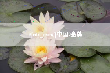 南安中国9金牌