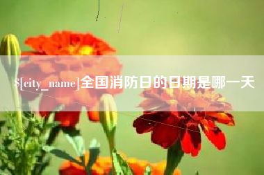 南安全国消防日的日期是哪一天
