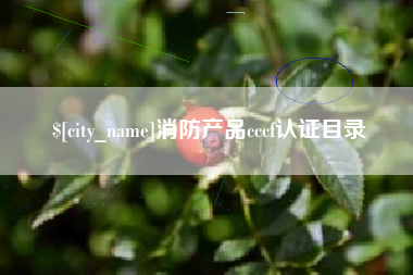 南安消防产品cccf认证目录