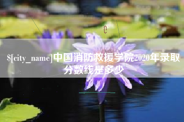 南安中国消防救援学院2020年录取分数线是多少