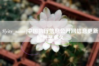 南安中国执行信息公开网信息更新时间是多久