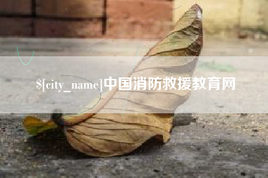 南安中国消防救援教育网