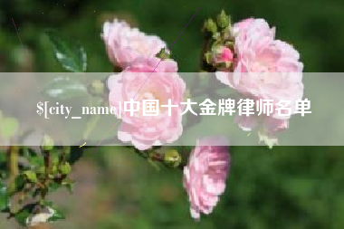 南安中国十大金牌律师名单