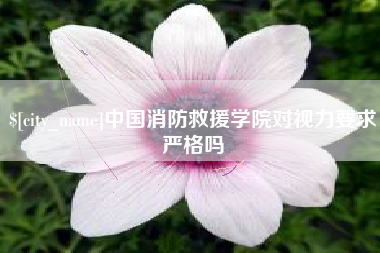 南安中国消防救援学院对视力要求严格吗