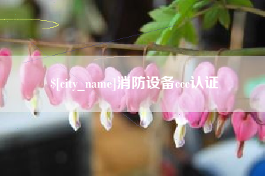 南安消防设备ccc认证