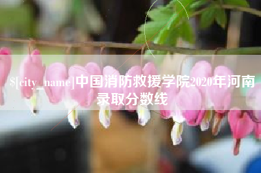 南安中国消防救援学院2020年河南录取分数线
