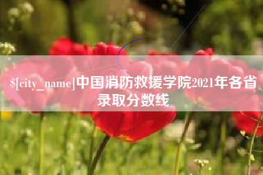 南安中国消防救援学院2021年各省录取分数线