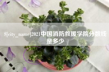南安2021中国消防救援学院分数线是多少