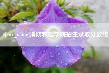 南安消防救援学院招生录取分数线