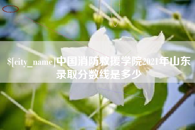南安中国消防救援学院2021年山东录取分数线是多少