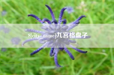 南安九宫格盘子